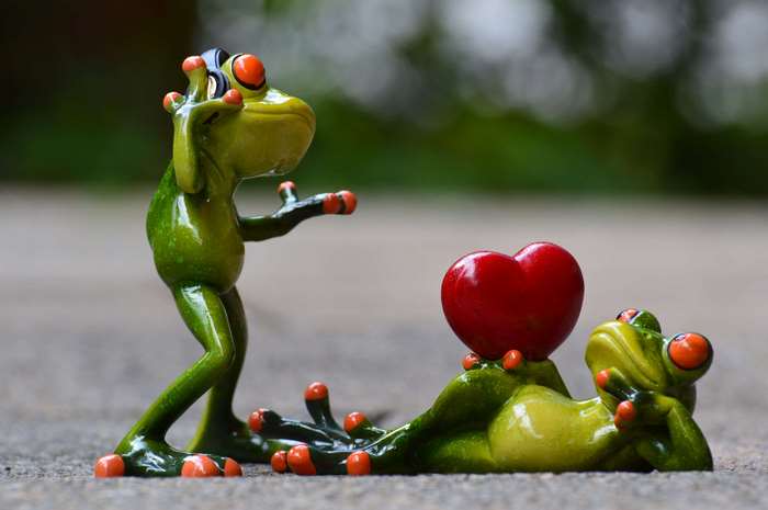 Two frogs with a heart, one standing, one lying down