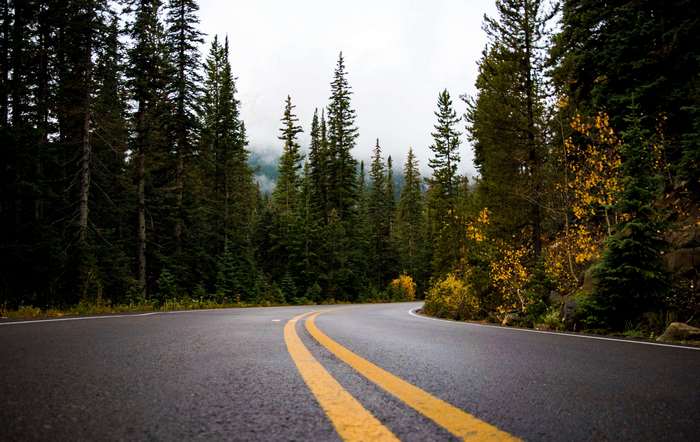 Road through a forest with yellow lines