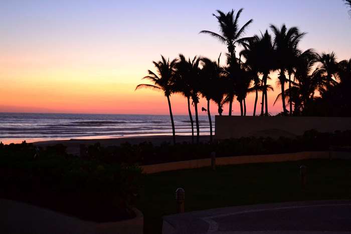 Sunset over Acapulco beach with palm trees