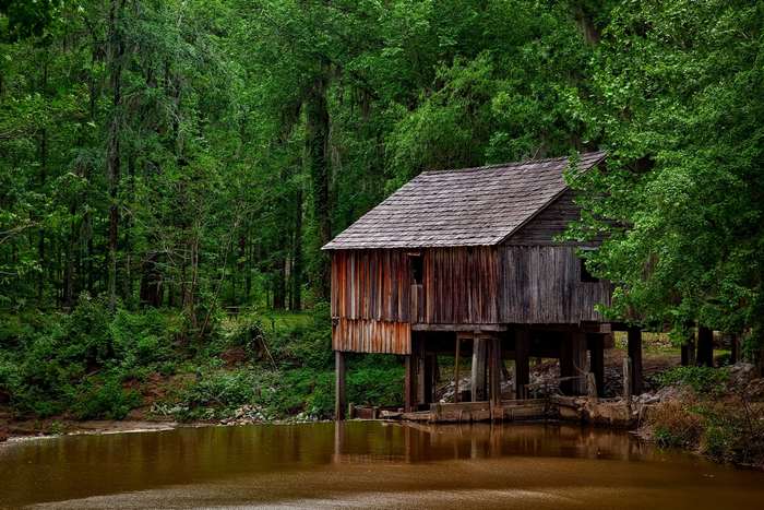Wooden structure on stilts by a river in a forest