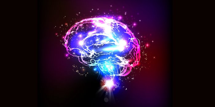 Digital brain with glowing neural pathways