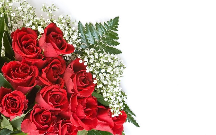 Vibrant Red Roses with White Gypsophila