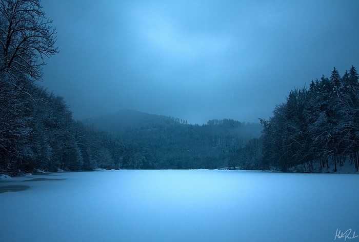 Frozen lake at night with snow-covered trees