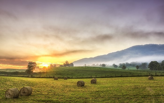 Hay bales in a misty mountain field at sunrise