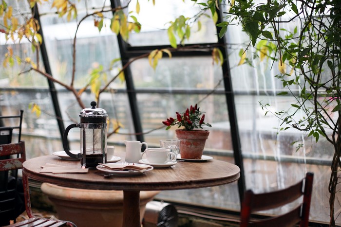 Cozy Cafe Table with French Press and Plant