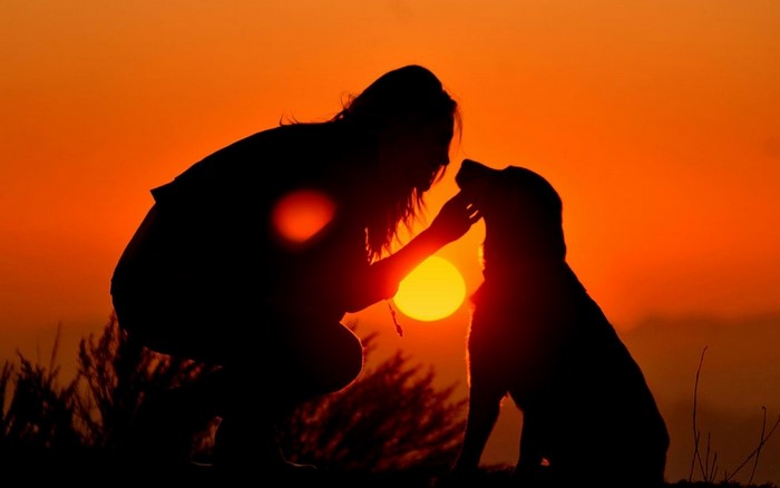 Silhouette of a person and dog at sunset