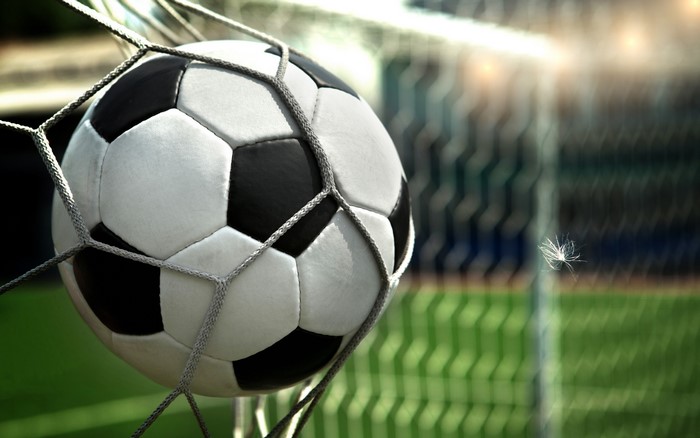 Soccer ball in the net