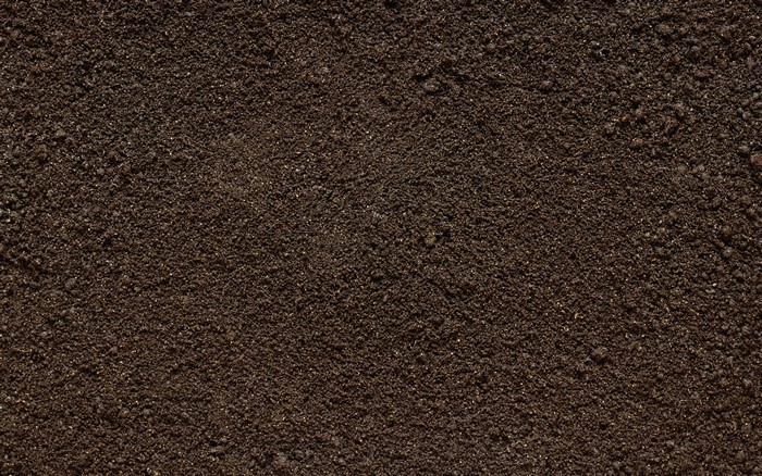 Dark soil texture with small stones