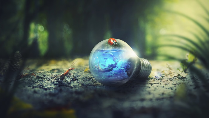 Ants and ladybug near a lightbulb with a mermaid