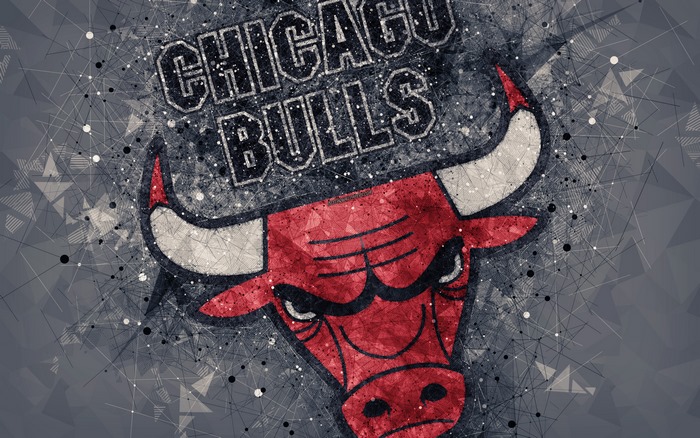 Chicago Bulls Logo Abstract Art
