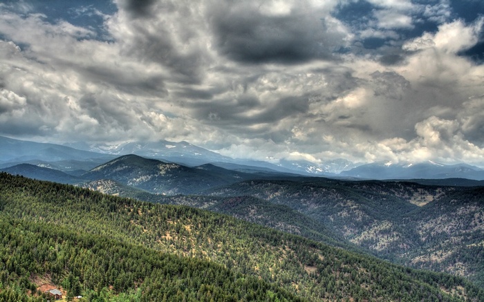 Mountain range with pine forest and cloudy sky