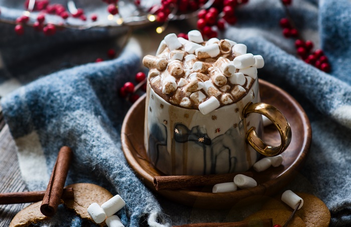 Cozy Cup of Hot Chocolate with Marshmallows