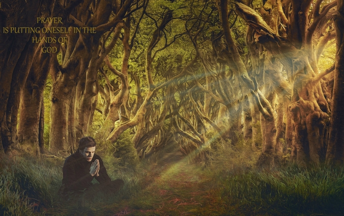 Man praying in a sunlit forest