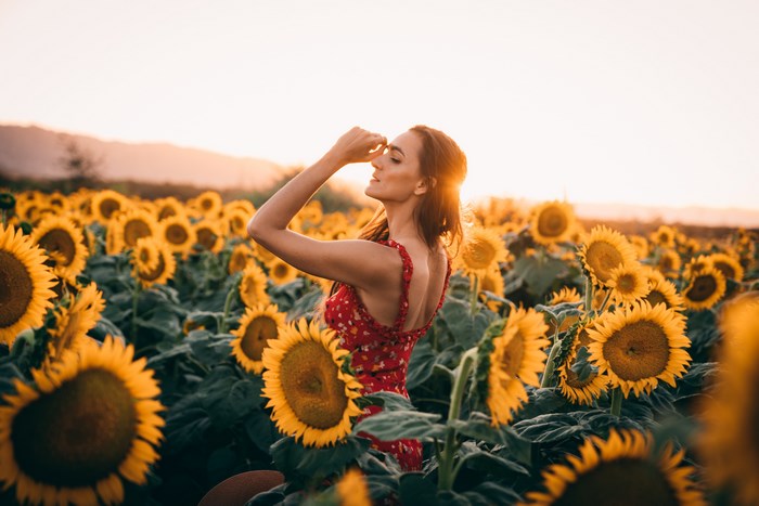 Woman in red dress in sunflower field at sunset