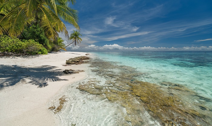 Tropical beach with palm trees and clear ocean water