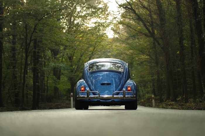 Blue Volkswagen Beetle on a Forest Road