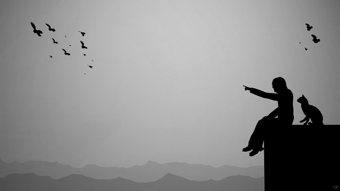 Silhouette of a person and cat pointing at birds