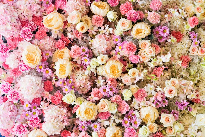 A dense arrangement of pink, white, and yellow flowers