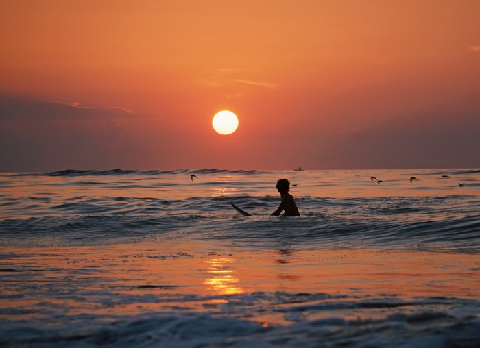 Surfer and birds at sunrise over the ocean