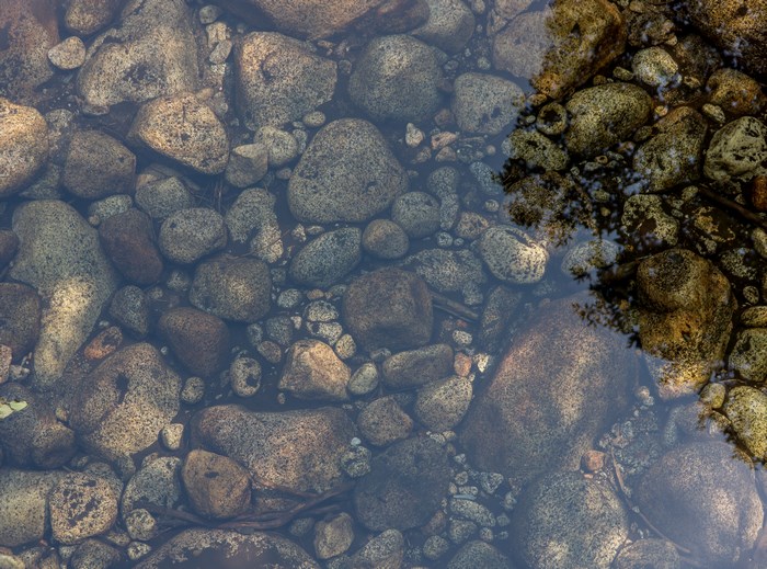 Rocks submerged in clear water with tree reflection