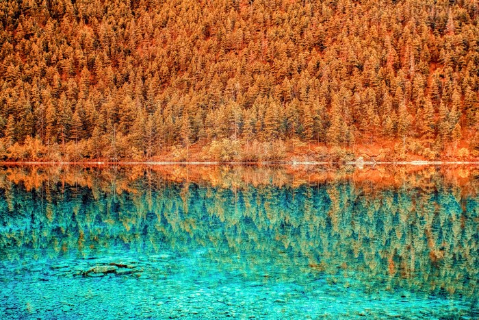 Autumn forest reflected in a turquoise lake