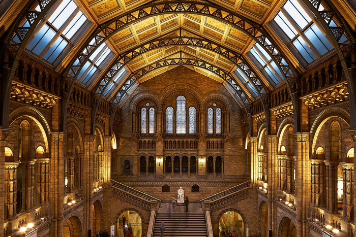 Interior of the Natural History Museum, London