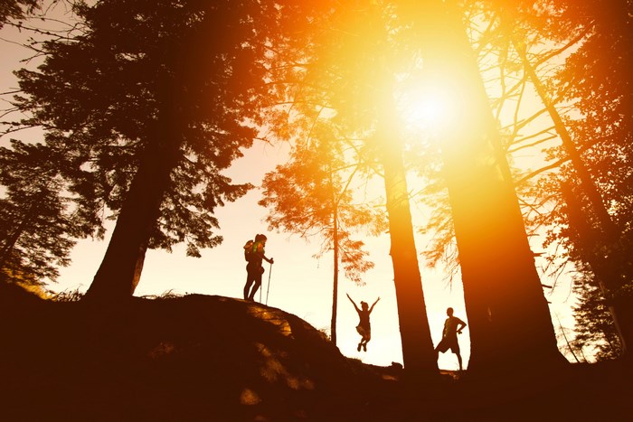 Silhouettes of hikers jumping and walking in a forest at sunset
