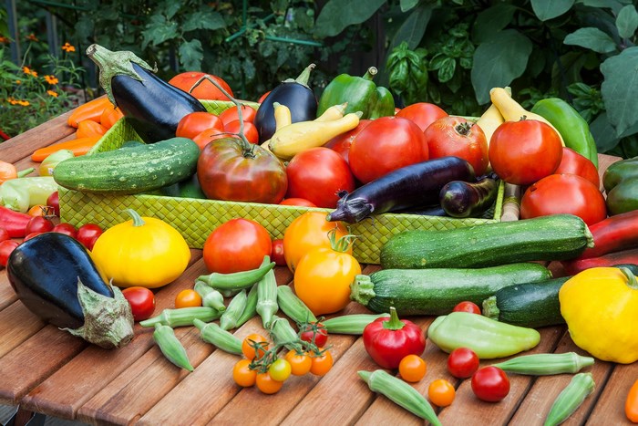 A bountiful harvest of fresh vegetables on a wooden table
