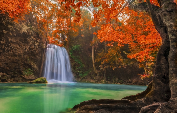 Waterfall in Autumn Forest