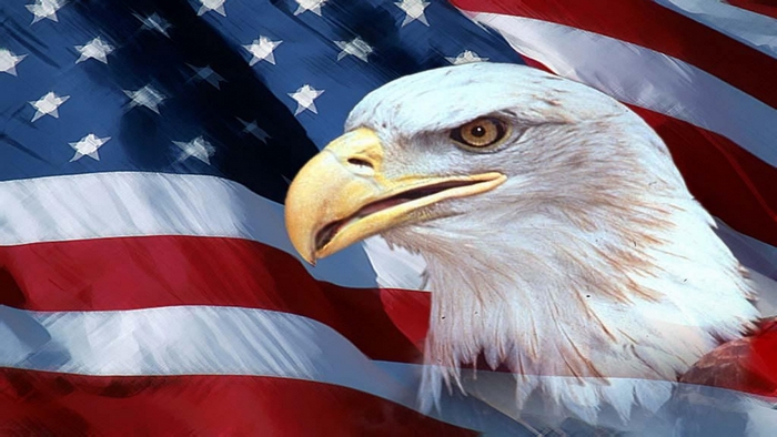 Bald Eagle in front of American Flag