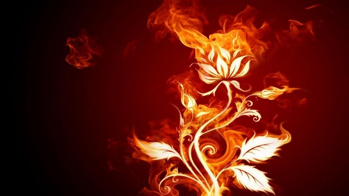 Fiery Rose with Swirling Flames