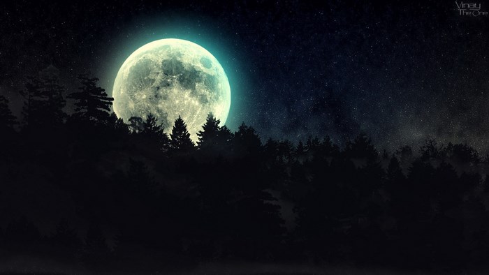 Full Moon Rising Behind Dark Forest Silhouettes