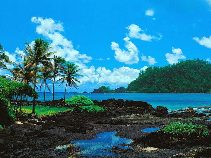 Tropical beach with palm trees and volcanic rocks