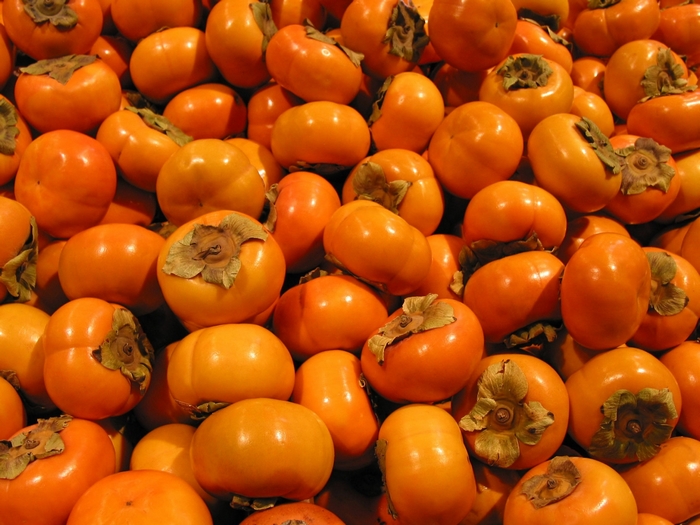 Pile of ripe persimmons