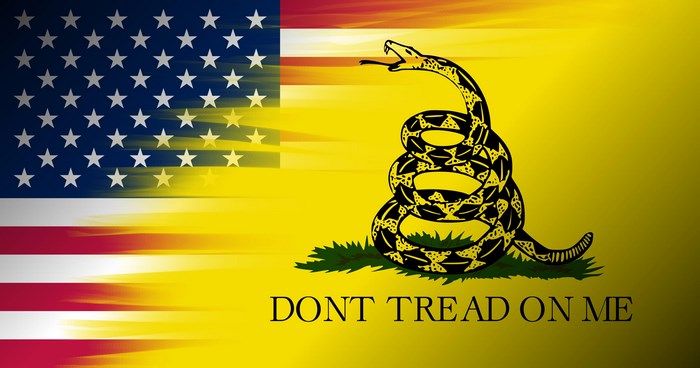 Gadsden Flag with American Flag Elements