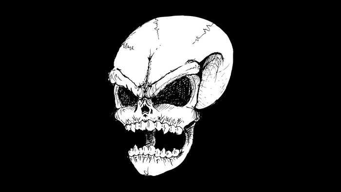 Skull