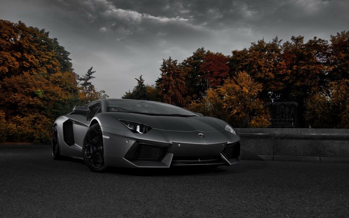 Sleek Lamborghini Aventador in Autumn Setting