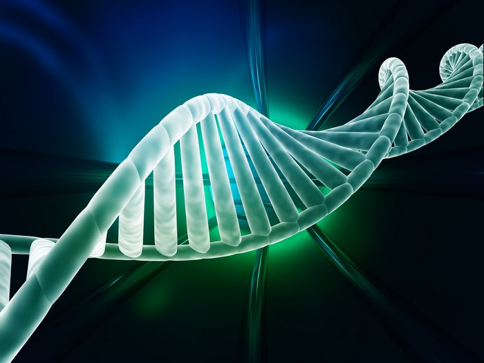 widescreen dna structure