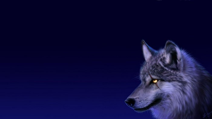 Wolf with glowing eyes on dark blue background