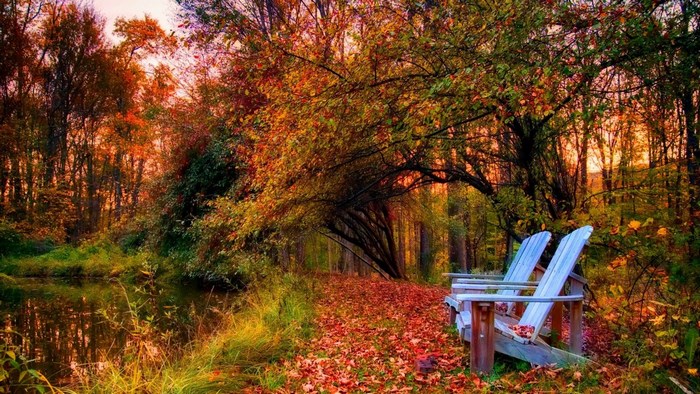 Beautiful Fall Scene with Chairs by the Pond