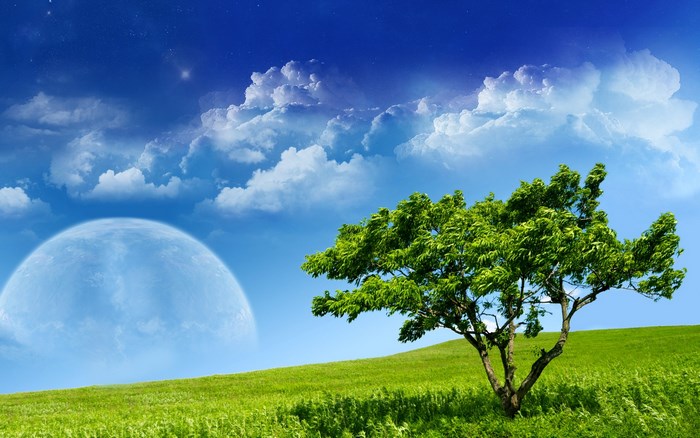Dreamy world with a large moon and a tree