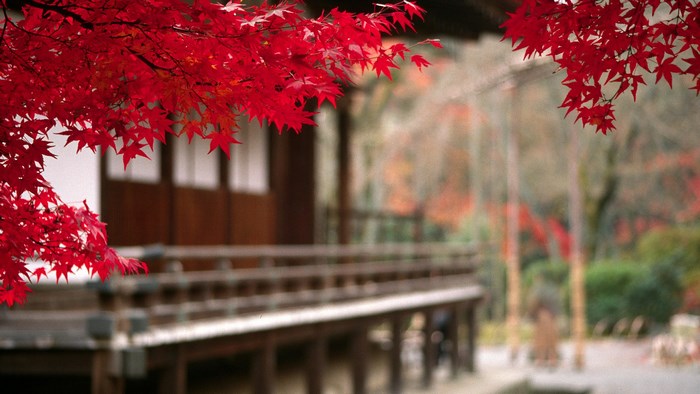 Bright Red Autumn Leaves Near Traditional Wooden Structure