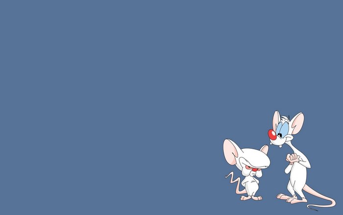 Pinky and the Brain from Pinky and the Brain