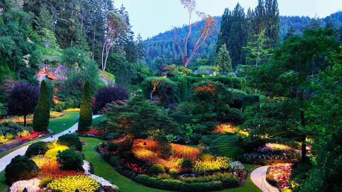 Beautifully lit garden with colorful flowers and trees