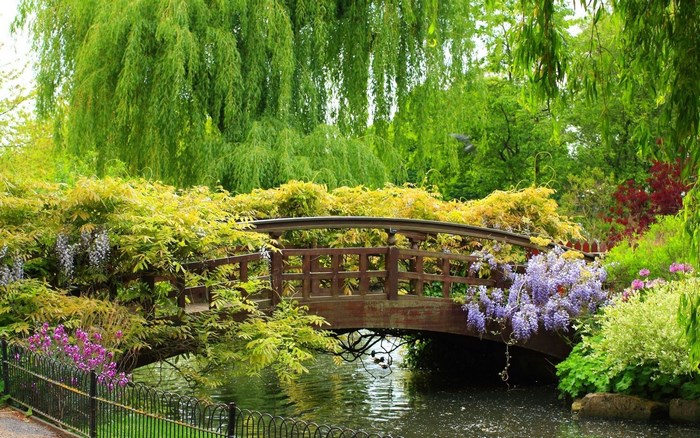 Wooden bridge over a pond in a garden