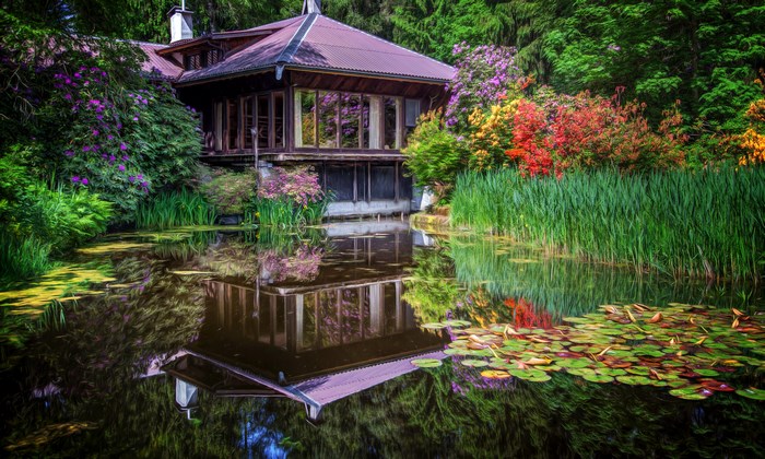 Japanese garden with house and pond