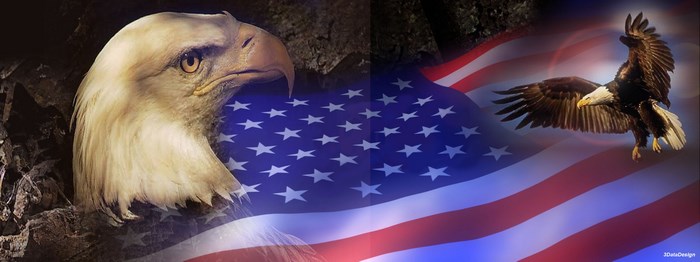 Bald Eagle and American Flag
