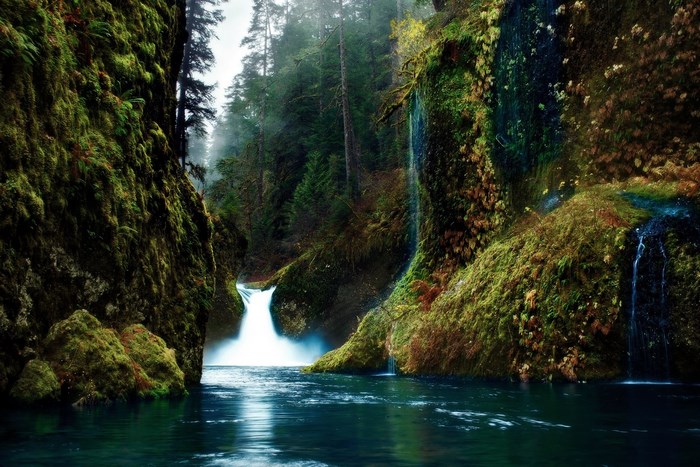 Waterfall in a mossy forest