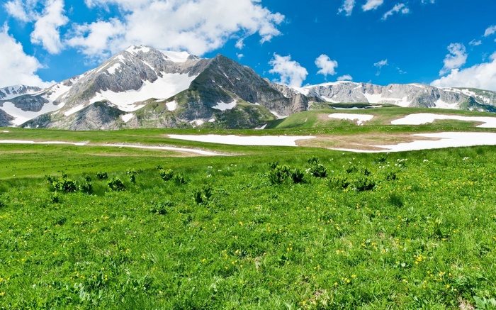 Green meadow with snow-capped mountains under a blue sky