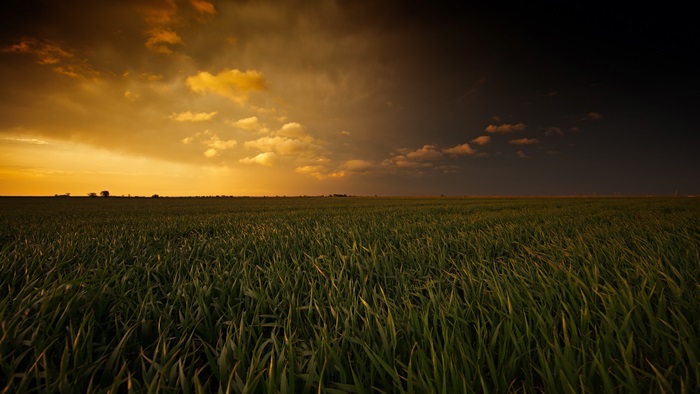Field under dramatic sunset sky 4K